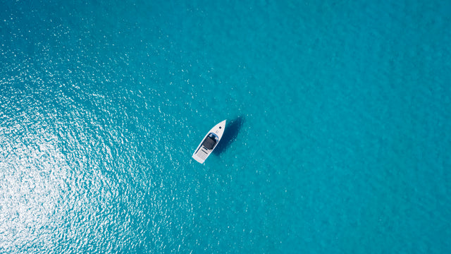 VAN DUTCH 40 BLUE STEEL – 2025