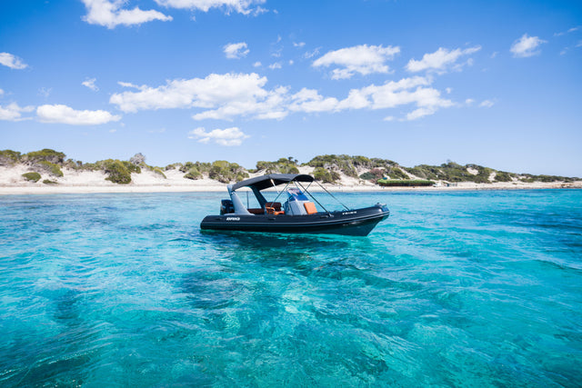 BRIG 650 SPEEDY GONZALEZ – 2025