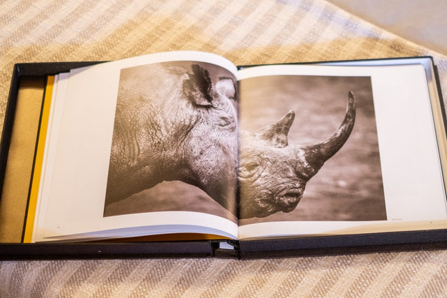 BAIA ITALIA 70 CHILLI – 2025