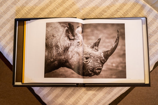 BAIA ITALIA 70 CHILLI – 2025