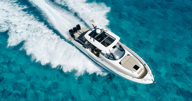 Oryx 38 | Orix