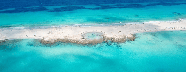 Free Formentera Ride - Haller Experiences