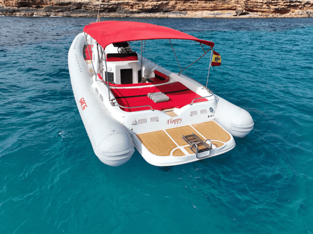 Sacs 42 Floppy - Haller Experiences