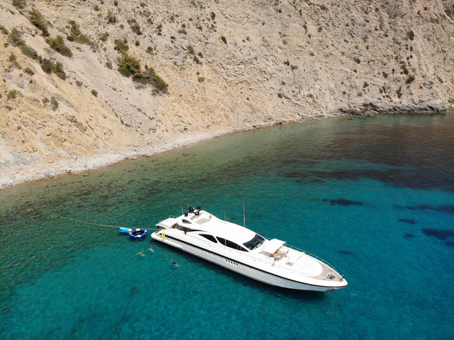 Mangusta130