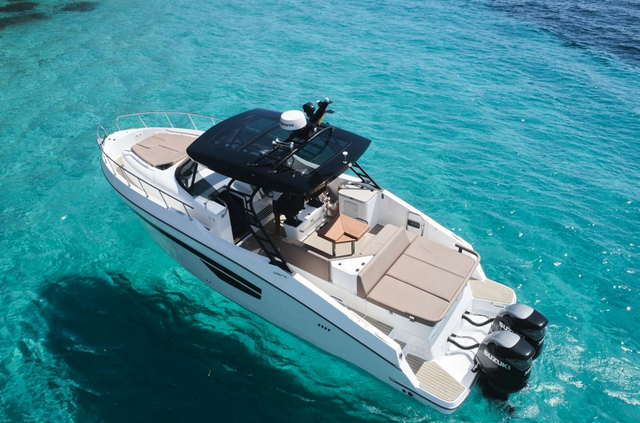 Oryx 38 | Santa Cruz