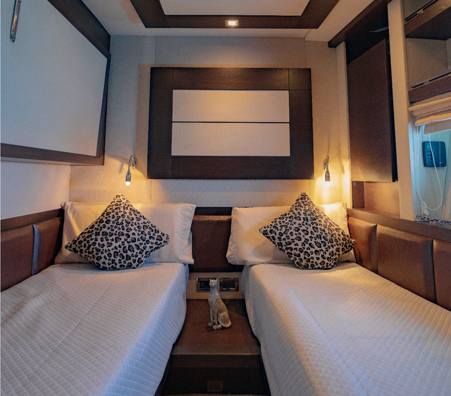 Azimut 86 | The Jungle